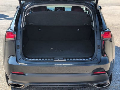 2020 Lexus NX 300 NX 300