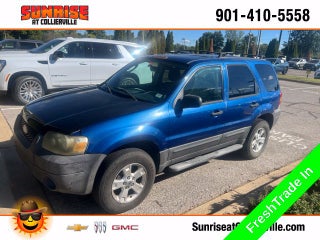 2007 Ford Escape XLT